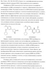 Ингибиторы фосфодиэстеразы 4, включая аналоги n-замещенного диариламина (патент 2388750)
