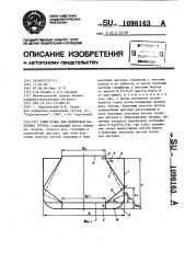 Трюм судна для перевозки насыпных грузов (патент 1096163)