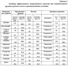 Средство для лечения крупного рогатого скота при некробактериозе (патент 2643592)