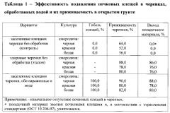 Способ обеззараживания черенков смородины от почковых клещей (патент 2581490)