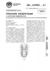 Распылитель (патент 1358969)