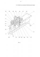 Устройство для филетирования рыбы (патент 2626138)