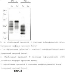 Связывающее вещество патологического прионного белка и способ обнаружения патологического прионного белка (патент 2444735)