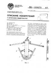 Канальный очиститель (патент 1350273)