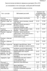 Препарат для защиты растений от возбудителей болезней сельскохозяйственных культур и винограда с ростстимулирующим эффектом, способ получения этого препарата и штаммы для его осуществления (патент 2313941)