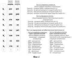 Набор для лабораторной диагностики инфекций, вызываемых mycoplasma hominis и ureaplasma urealyticum (патент 2553548)