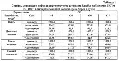 Консорциум микроорганизмов exiguobacterium mexicanum и bacillus vallismortis для очистки мерзлотных почв от нефтезагрязнений (патент 2565817)