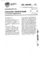 Композиция для рабочего слоя носителя магнитной записи (патент 1291597)