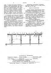 Способ ведения виноградного куста (патент 1003783)