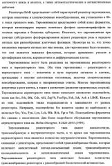 Биспецифические антитела к erb-b и их применение для лечения опухолей (патент 2349340)