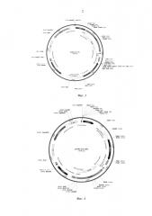 Трансформант дрожжей schizosaccharomyces pombe, продуцирующий молочную кислоту (варианты), способ его получения (варианты), способ микробиологического синтеза молочной кислоты с использованием такого трансформанта (патент 2614233)