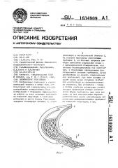 Лабиринтное уплотнение (патент 1634909)