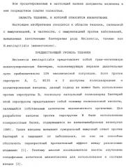 Химерные, гибридные и тандемные полипептиды менингококкового белка nmb1870 (патент 2431671)