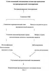 Способ прогнозирования риска развития осложнений, вызванных воздействием плазмафереза у больных хроническими заболеваниями печени (патент 2321337)