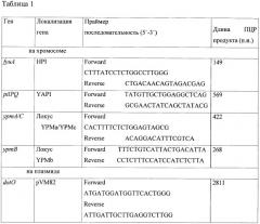 Тест-штамм yersinia pseudotuberculosis для дифференциации бактерий yersinia pseudotuberculosis генетической группы ii (патент 2465317)