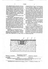 Пол @ (патент 1754859)