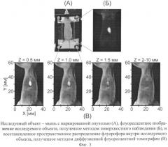Устройство получения томографических флуоресцентных изображений (патент 2515203)