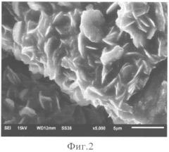 Способ подготовки диэлектрических образцов для исследований на растровом электронном микроскопе (патент 2557179)