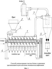Способ концентрации частиц белка и крахмала тритикалевой муки методом пневмоклассификации (патент 2560593)