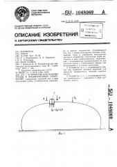Устройство для подачи грузов в пневмоопорное сооружение (патент 1048069)