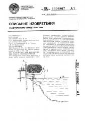 Устройство для формирования пакета лесоматериалов (патент 1306867)