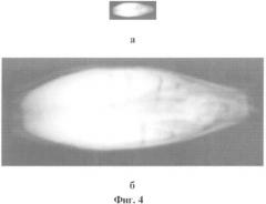 Способ получения рентгенографического изображения семян растений (патент 2352922)