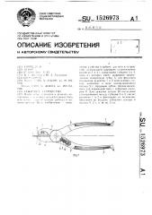 Зажимное устройство (патент 1526973)