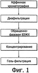 Способ очистки интерферона бета человека (патент 2346003)