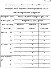 Способ выделения биомассы микроорганизмов (патент 2245916)