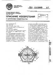 Регулируемый магнитный компас (патент 1515049)