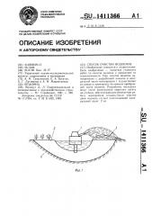 Способ очистки водоемов (патент 1411366)