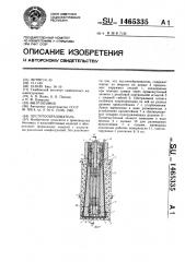 Пустотообразователь (патент 1465335)