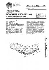 Противофильтрационный экран (патент 1541338)