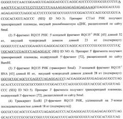 Контролируемая деградация структурированных полирибонуклеотидов (патент 2458986)