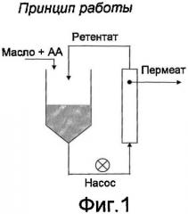 Способ очистки масла и его применение для пищи и корма (патент 2458976)