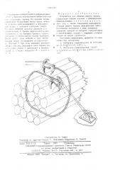 Устройство для обвязки пакета бревен (патент 541727)