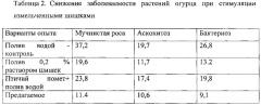 Способ стимуляции роста и развития огурцов в закрытом грунте (патент 2638324)