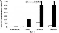 Вакцина на основе пептидов сурвивина (патент 2396088)
