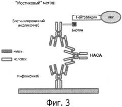 Способы выявления препаратов и аутоантител против tnf (патент 2571489)