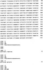 Способ получения макролидного соединения и штаммы streptomyces sp., mortierella sp. и micromonosporaceae (патент 2330069)