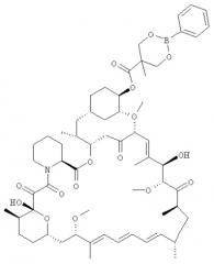Региоселективный синтез cci-779 (патент 2339639)