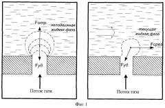 Способ газонасыщения жидкости (патент 2382673)