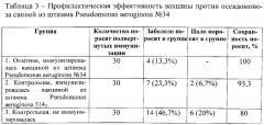 Штамм бактерий pseudomonas aeruginosa для изготовления вакцины против псевдомоноза свиней (патент 2553553)