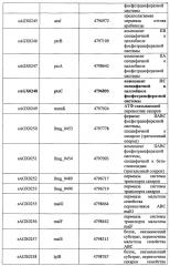 Модифицированные грамположительные бактерии и их применение (патент 2653757)