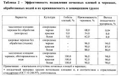 Способ обеззараживания черенков смородины от почковых клещей (патент 2581490)