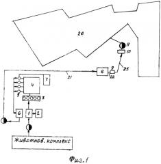 Способ промывки пруда-накопителя животноводческих стоков (варианты) (патент 2552358)
