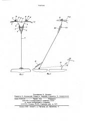 Токоприемник транспортного средства (патент 713716)