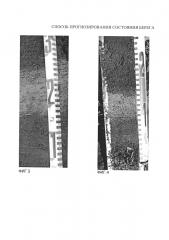 Способ прогнозирования состояния берега (патент 2661397)