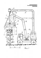 Способ предотвращения естественного распространения семян борщевика сосновского и других высокорослых зонтичных растений (патент 2627494)