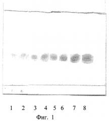 Способ количественного определения рутина методом тонкослойной хроматографии (патент 2469316)